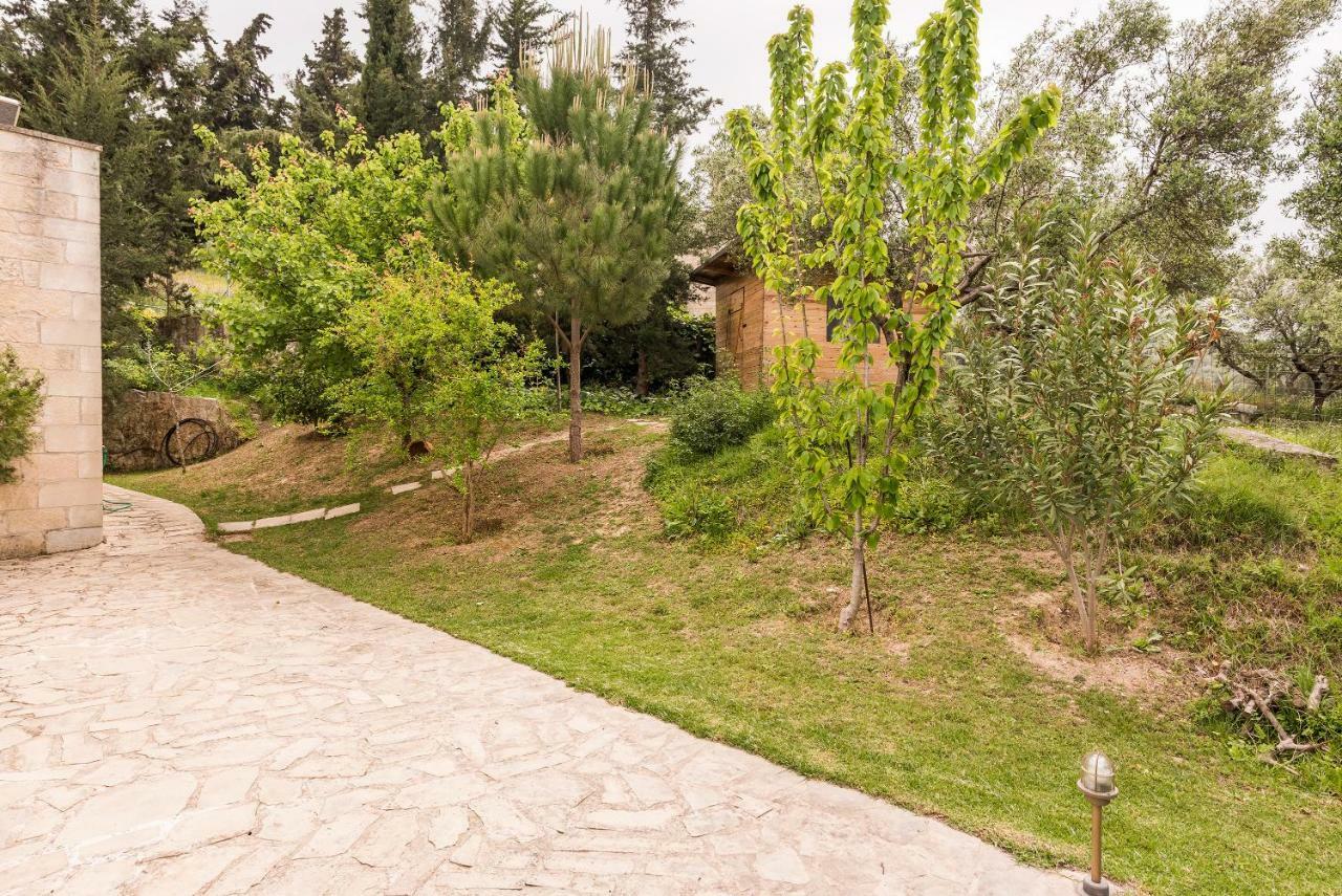 Villa Aloni Fílippos Zewnętrze zdjęcie